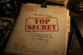 TOP SECRET - Project TMM-250, Limited Edition 250, The MAGA Mirror